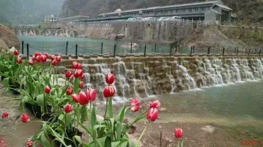 AOAO污水处理系统